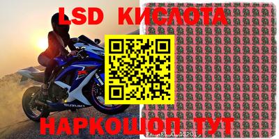 стаф Бугуруслан