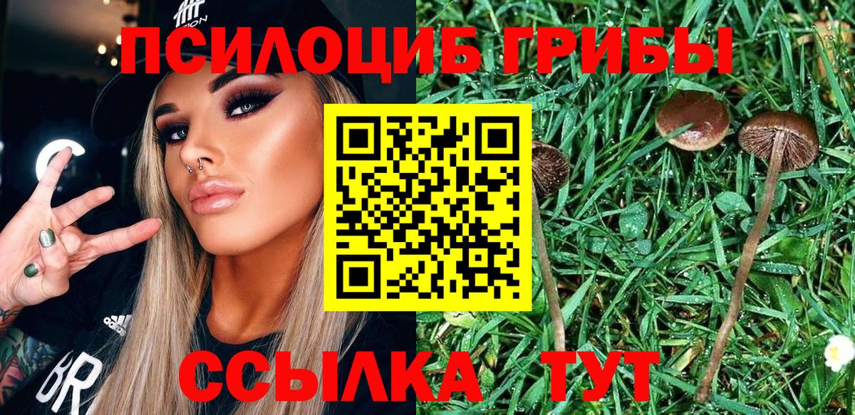 Кузнецк  Псилоцибиновые грибы Psilocybe  Псилоцибиновые грибы GOLDEN TEACHER  Вход с VPN 